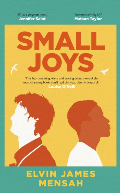 Small Joys : A Buzzfeed Amazing New Book You Need to Read ASAP - DAMAGED - Book from The Bookhouse Broughty Ferry- Just £14.99! Shop now