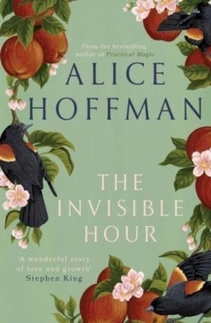 The Invisible Hour - Book from The Bookhouse Broughty Ferry- Just £9.99! Shop now