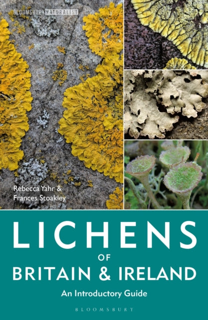 Lichens of Britain and Ireland - Book from The Bookhouse Broughty Ferry- Just £25! Shop now