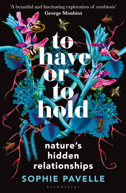 To Have or To Hold - Book from The Bookhouse Broughty Ferry- Just £20! Shop now