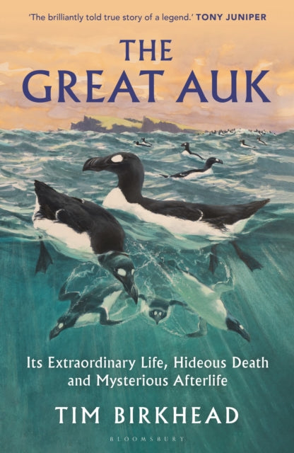 The Great Auk - Book from The Bookhouse Broughty Ferry- Just £20! Shop now