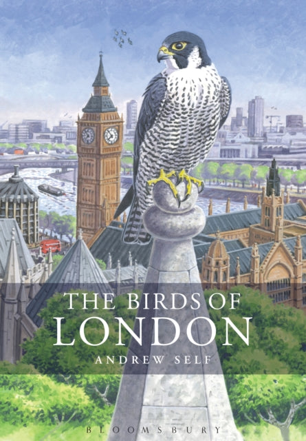 The Birds of London - Book from The Bookhouse Broughty Ferry- Just £80! Shop now