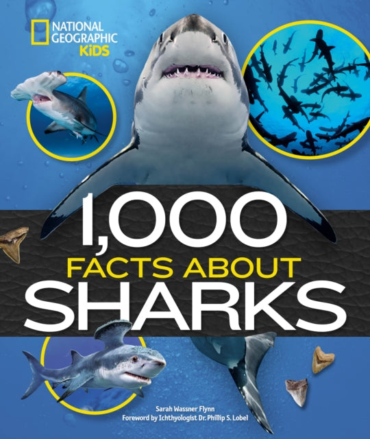 1,000 Facts About Sharks - Book from The Bookhouse Broughty Ferry- Just £12.99! Shop now