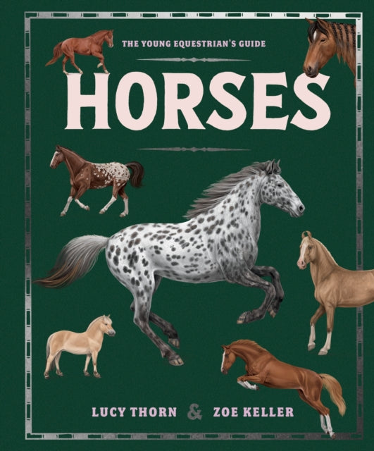 Horses - Book from The Bookhouse Broughty Ferry- Just £16.99! Shop now