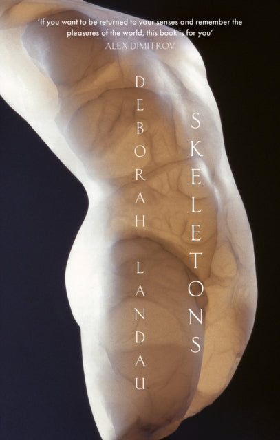 Skeletons - Book from The Bookhouse Broughty Ferry- Just £10.99! Shop now