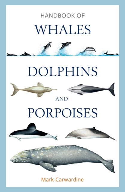 Handbook of Whales, Dolphins and Porpoises - Book from The Bookhouse Broughty Ferry- Just £35! Shop now