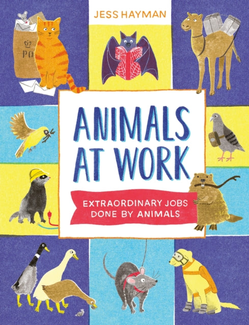 Animals at Work - Book from The Bookhouse Broughty Ferry- Just £16.99! Shop now