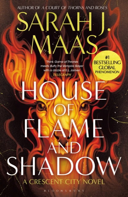House of Flame and Shadow - Book from The Bookhouse Broughty Ferry- Just £9.99! Shop now