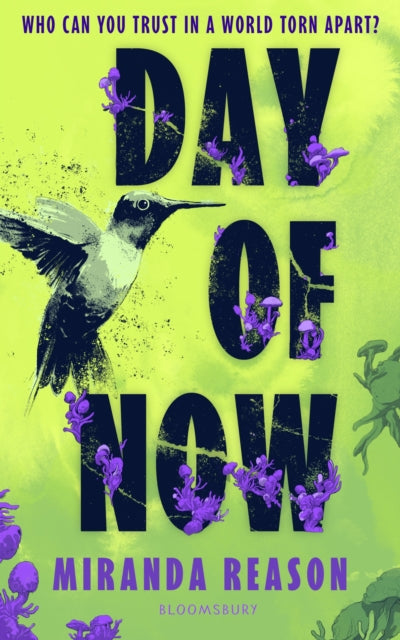 Day of Now - Book from The Bookhouse Broughty Ferry- Just £16.99! Shop now