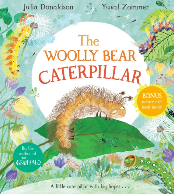 The Woolly Bear Caterpillar - Book from The Bookhouse Broughty Ferry- Just £7.99! Shop now