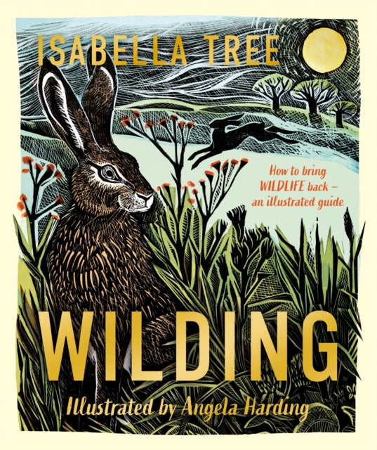 Wilding: How to Bring Wildlife Back - Book from The Bookhouse Broughty Ferry- Just £22! Shop now