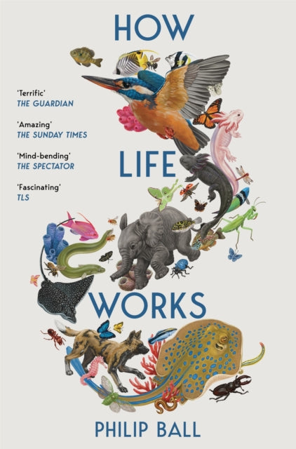 How Life Works : A User’s Guide to the New Biology - Book from The Bookhouse Broughty Ferry- Just £14.99! Shop now