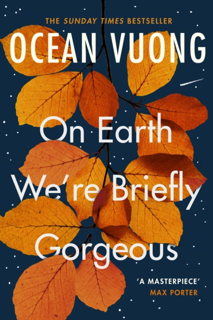 On Earth We're Briefly Gorgeous - Book from The Bookhouse Broughty Ferry- Just £9.99! Shop now