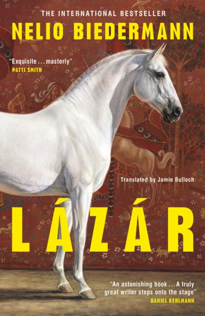Lazar - Book from The Bookhouse Broughty Ferry- Just £16.99! Shop now