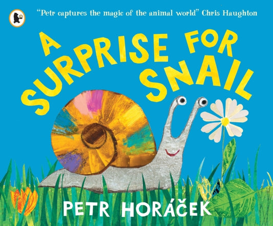 A Surprise for Snail - Book from The Bookhouse Broughty Ferry- Just £7.99! Shop now