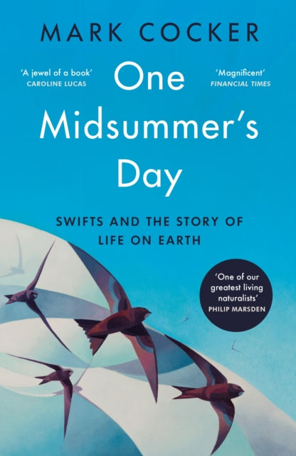 One Midsummer's Day - Book from The Bookhouse Broughty Ferry- Just £12.99! Shop now