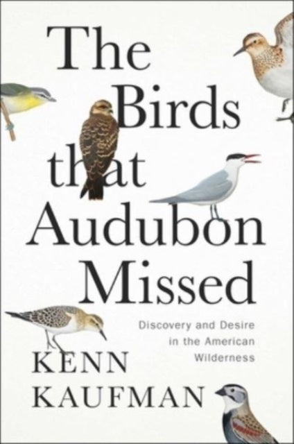 The Birds That Audubon Missed - Book from The Bookhouse Broughty Ferry- Just £25! Shop now