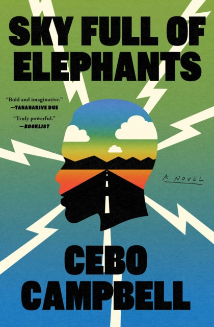 Sky Full of Elephants : A Novel - Book from The Bookhouse Broughty Ferry- Just £9.99! Shop now