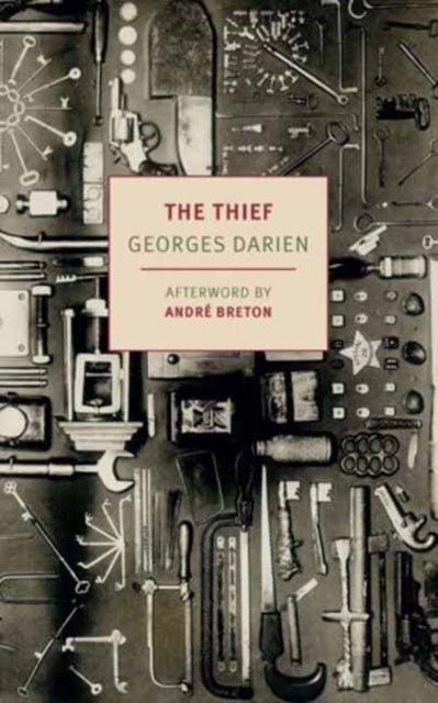 The Thief - Book from The Bookhouse Broughty Ferry- Just £17.99! Shop now