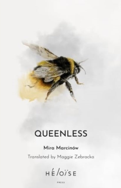 QUEENLESS - Book from The Bookhouse Broughty Ferry- Just £12.95! Shop now