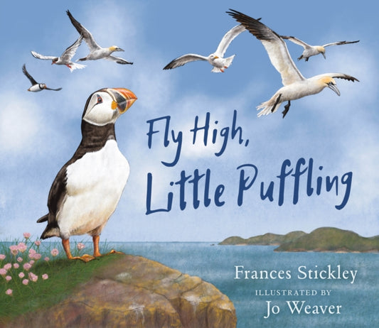 Fly High, Little Puffling - Book from The Bookhouse Broughty Ferry- Just £7.99! Shop now