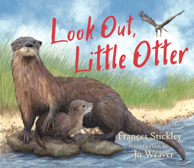Look Out, Little Otter - Book from The Bookhouse Broughty Ferry- Just £7.99! Shop now