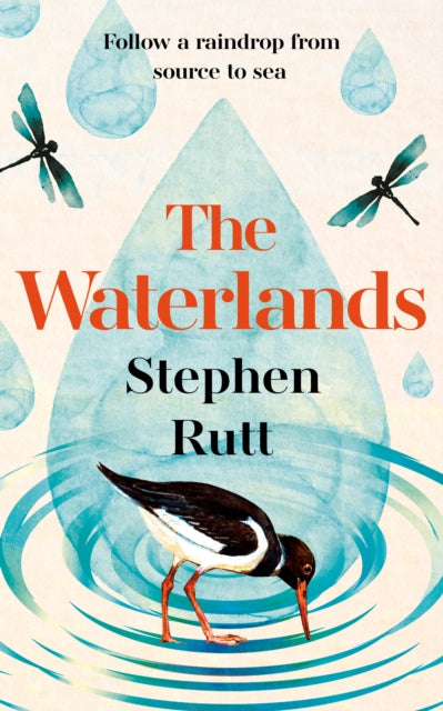 The Waterlands : Follow a Raindrop from Source to Sea - Book from The Bookhouse Broughty Ferry- Just £16.99! Shop now