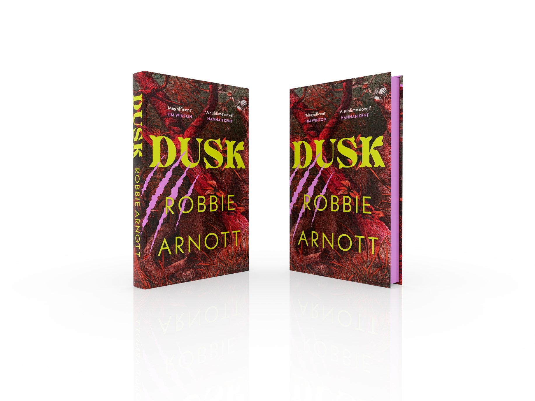 Dusk - SIGNED INDIE EXCLUSIVE EDITION - Book from The Bookhouse Broughty Ferry- Just £16.99! Shop now