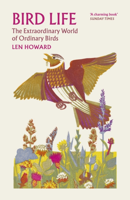 Bird Life : The Extraordinary World of Ordinary Birds - Book from The Bookhouse Broughty Ferry- Just £14.99! Shop now