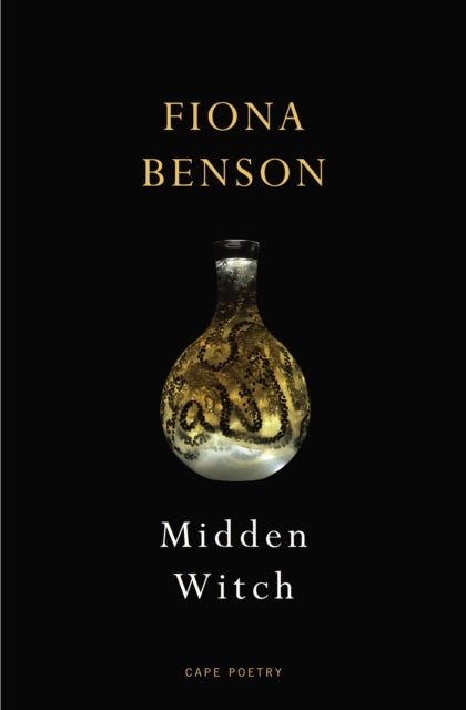 Midden Witch - Book from The Bookhouse Broughty Ferry- Just £13! Shop now
