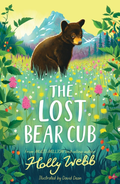 The Lost Bear Cub - Book from The Bookhouse Broughty Ferry- Just £7.99! Shop now
