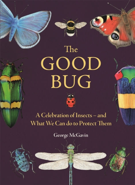 The Good Bug - Book from The Bookhouse Broughty Ferry- Just £10.99! Shop now
