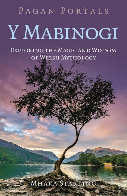 Pagan Portals  Y Mabinogi - Book from The Bookhouse Broughty Ferry- Just £9.99! Shop now