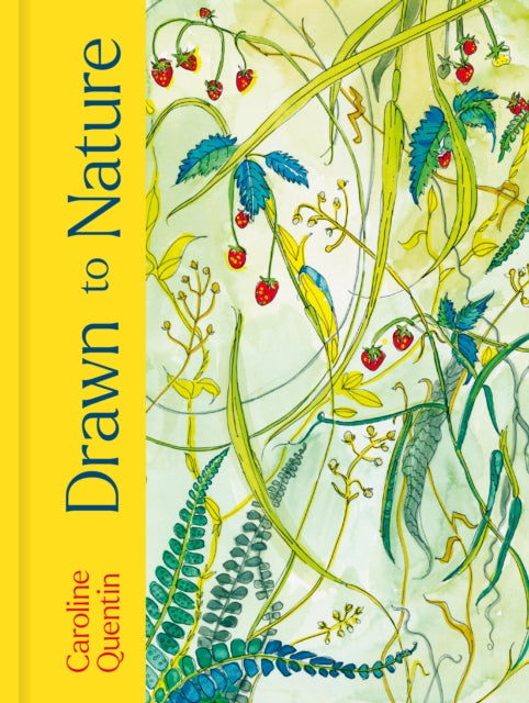 Drawn to Nature - Book from The Bookhouse Broughty Ferry- Just £20! Shop now