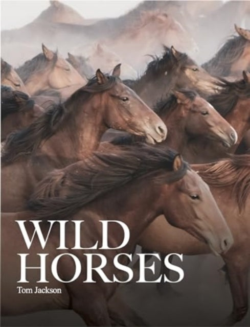 Wild Horses - Book from The Bookhouse Broughty Ferry- Just £19.99! Shop now