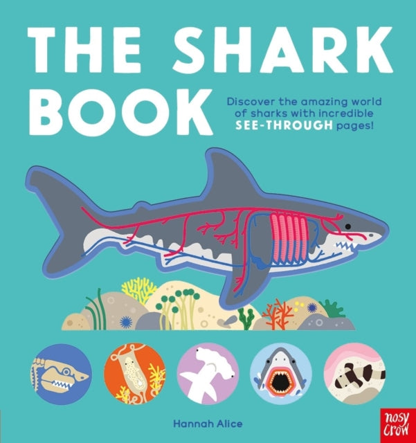 The Shark Book - Book from The Bookhouse Broughty Ferry- Just £11.99! Shop now