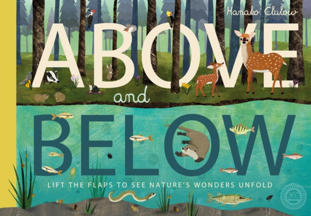 Above and Below - Book from The Bookhouse Broughty Ferry- Just £7.99! Shop now