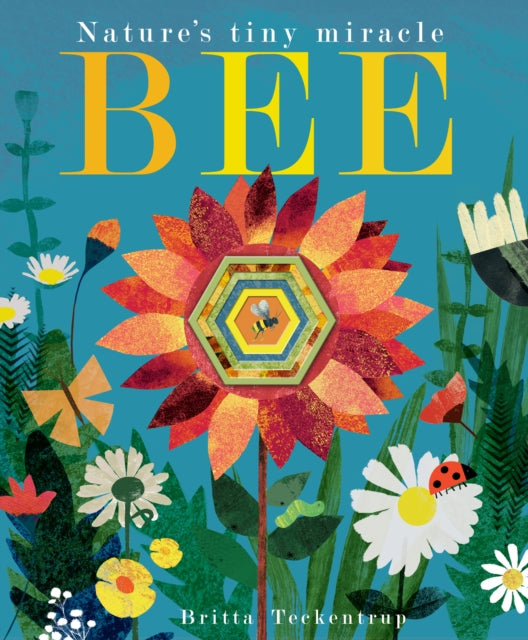 Bee : Nature's tiny miracle - Book from The Bookhouse Broughty Ferry- Just £7.99! Shop now