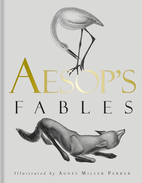 Aesop's Fables - Book from The Bookhouse Broughty Ferry- Just £30! Shop now