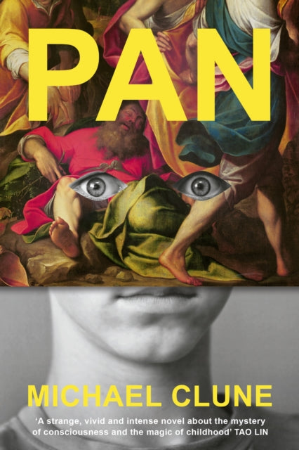 Pan - Book from The Bookhouse Broughty Ferry- Just £16.99! Shop now