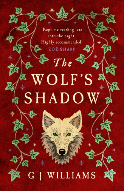 The Wolfs Shadow : A joy for the senses... see the smoke and grime of Tudor London Chris Lloyd - Book from The Bookhouse Broughty Ferry- Just £9.99! Shop now
