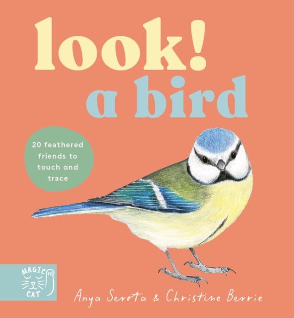 Look! A Bird! - Book from The Bookhouse Broughty Ferry- Just £7.99! Shop now