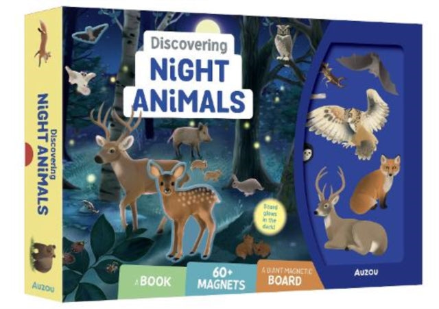 Discovering Night Animals - Book from The Bookhouse Broughty Ferry- Just £16.99! Shop now
