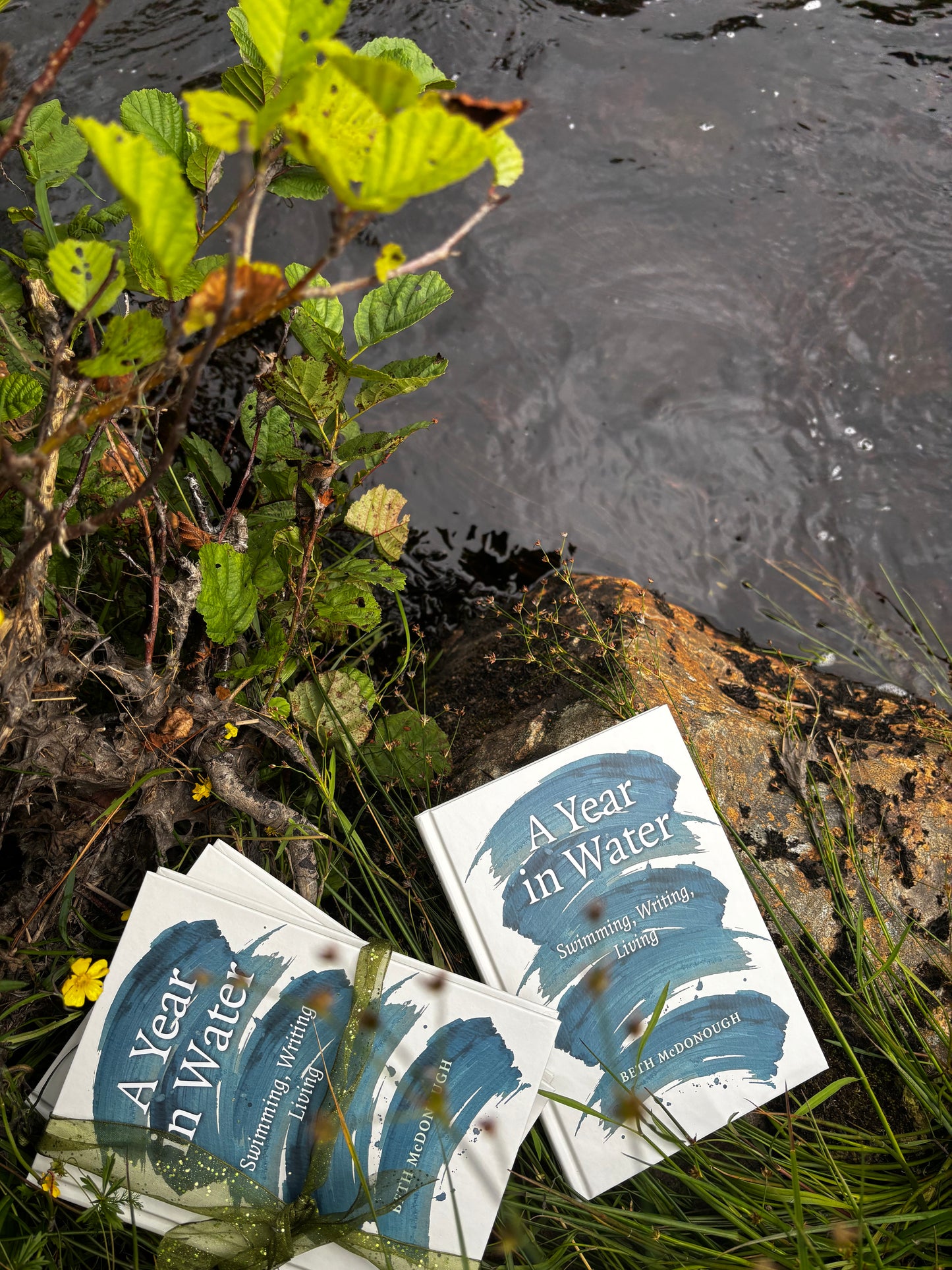 A Year in Water - Book from The Bookhouse Broughty Ferry- Just £15! Shop now
