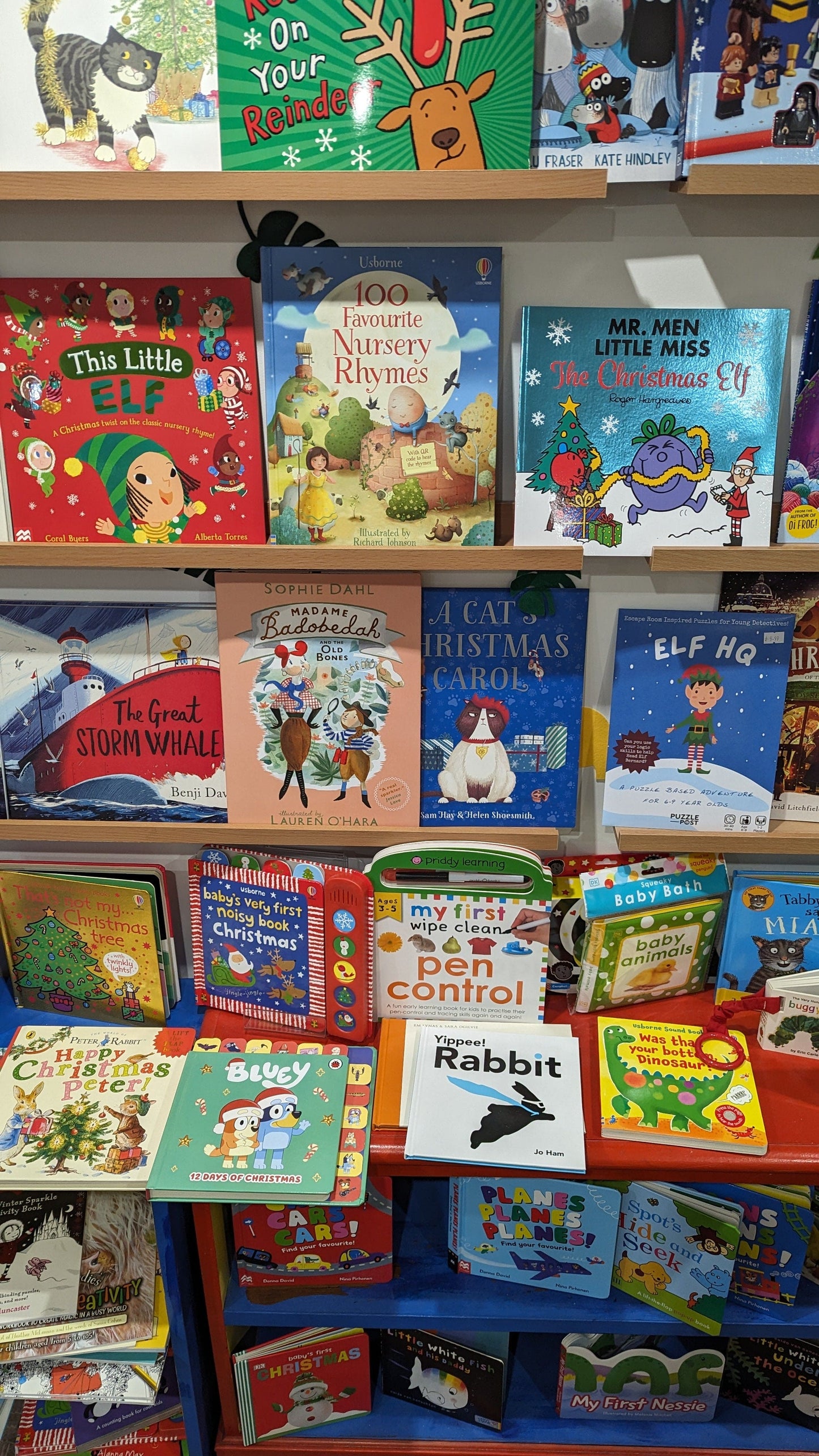 Book Subscription Service - Book from The Bookhouse Broughty Ferry- Just £11! Shop now