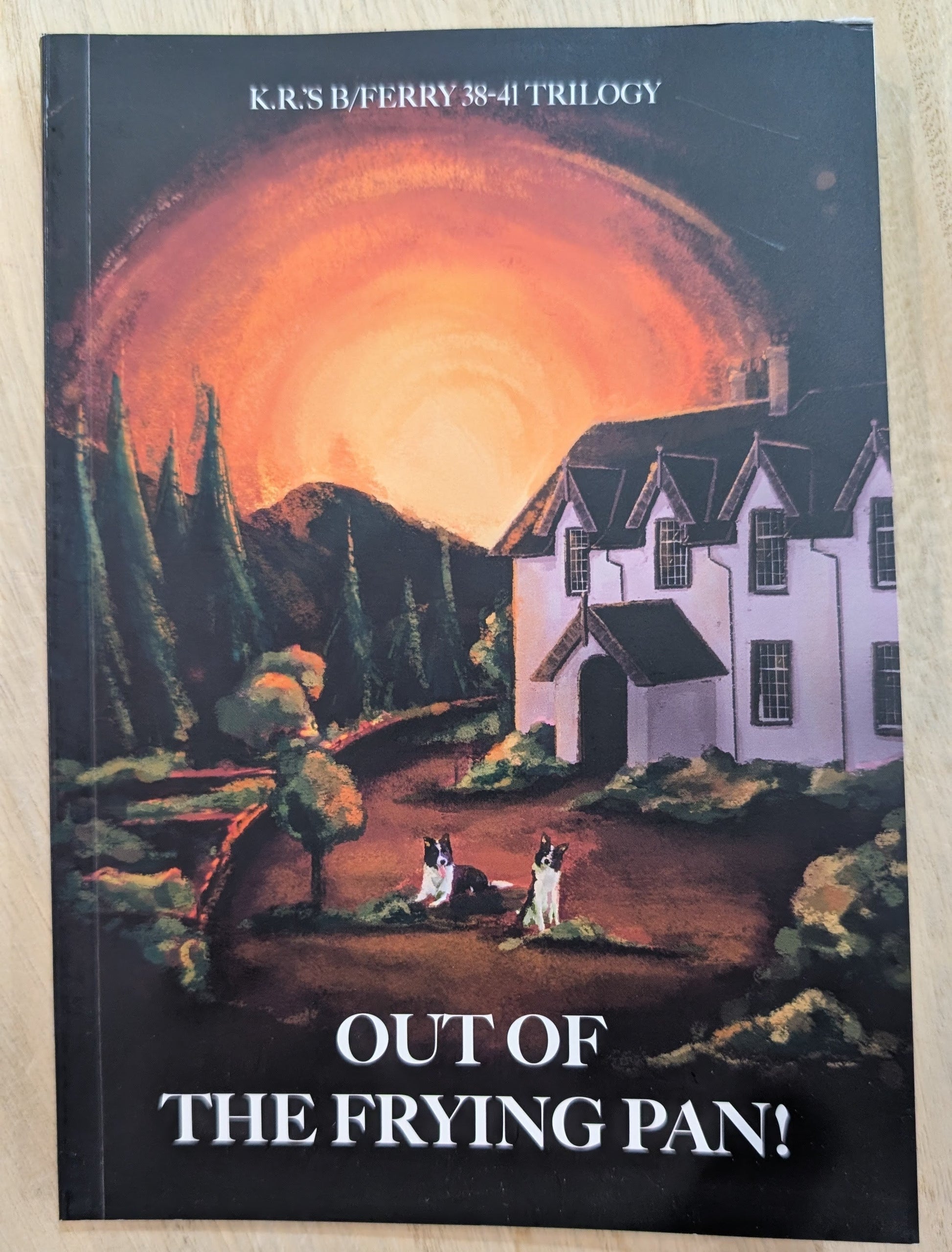 Out of the Frying Pan - by Ken Ramsay - Book from The Bookhouse Broughty Ferry- Just £9.99! Shop now