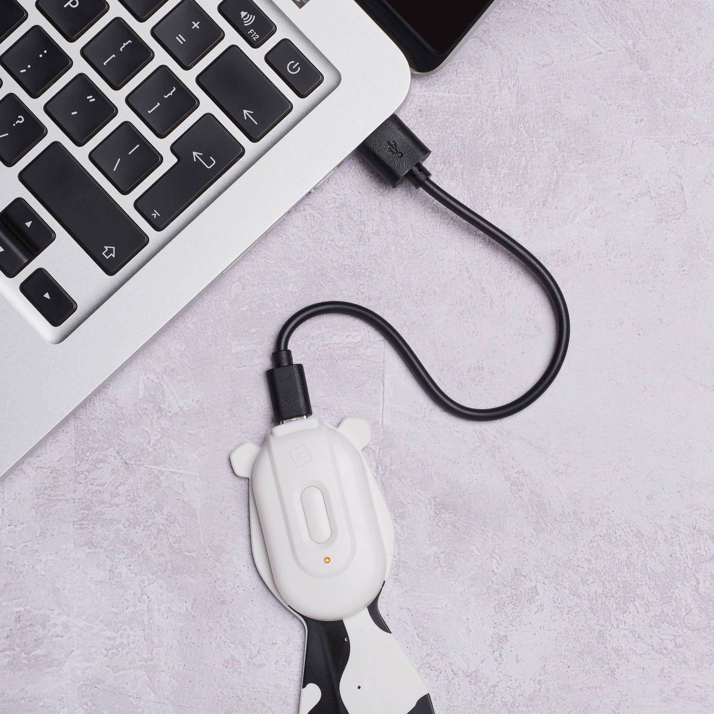 Flexilight Rechargeable Pals LED 2 in 1 Book Light/Bookmark -  from The Bookhouse Broughty Ferry- Just £19.99! Shop now