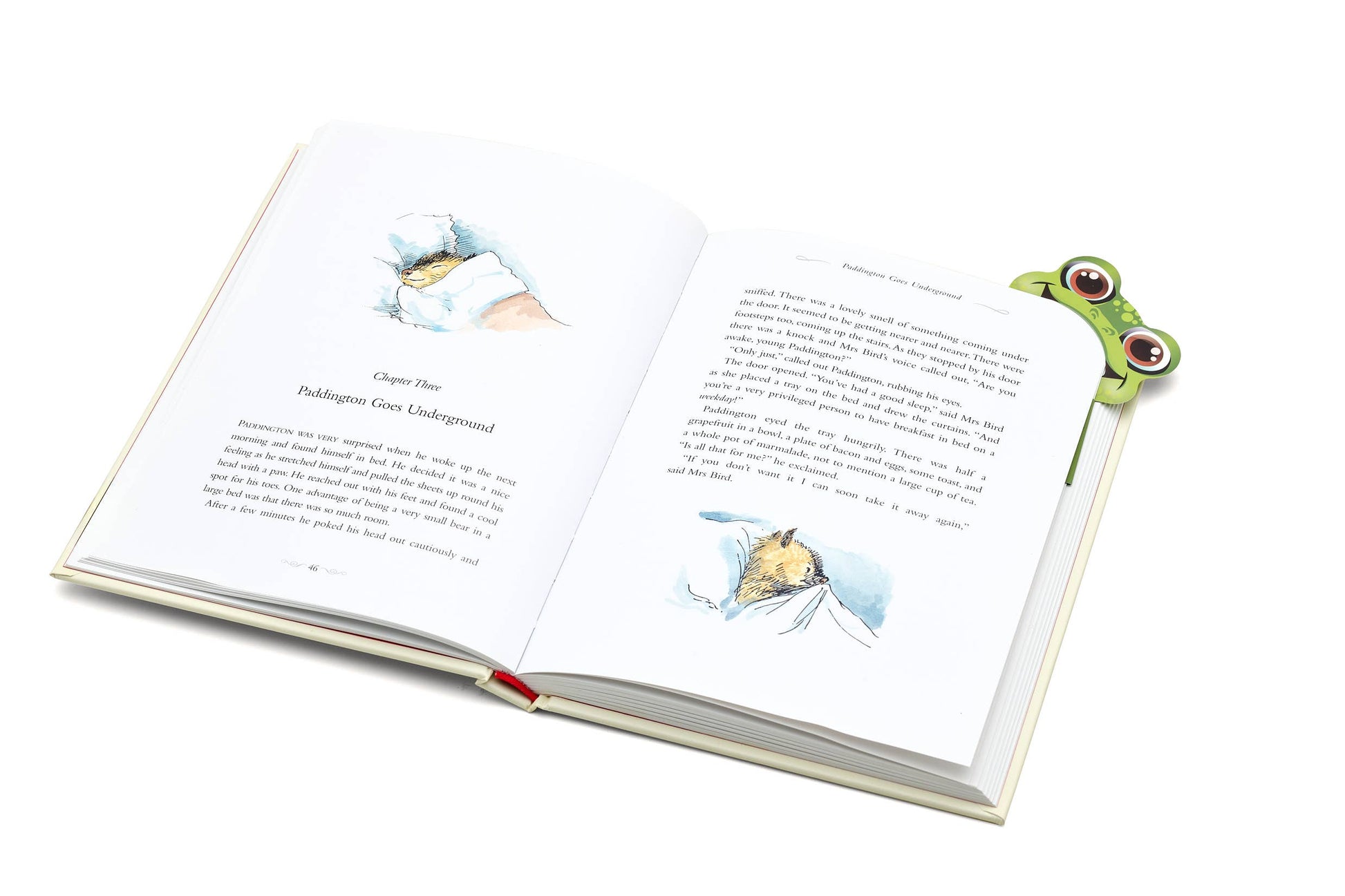 Magnetic Bigmouth Bookmark - Frog - Bookmark from The Bookhouse Broughty Ferry- Just £3.99! Shop now