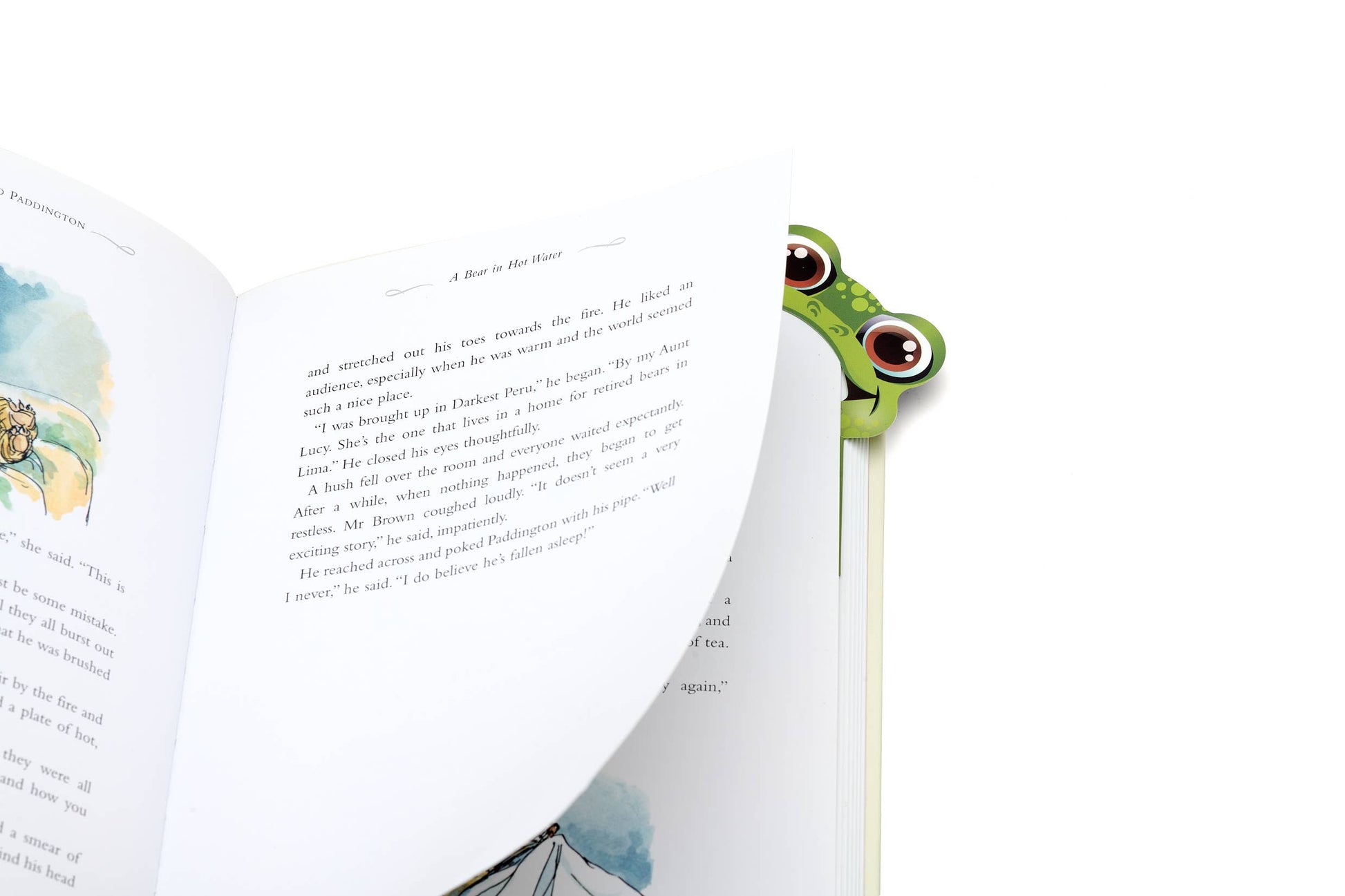 Magnetic Bigmouth Bookmark - Frog - Bookmark from The Bookhouse Broughty Ferry- Just £3.99! Shop now