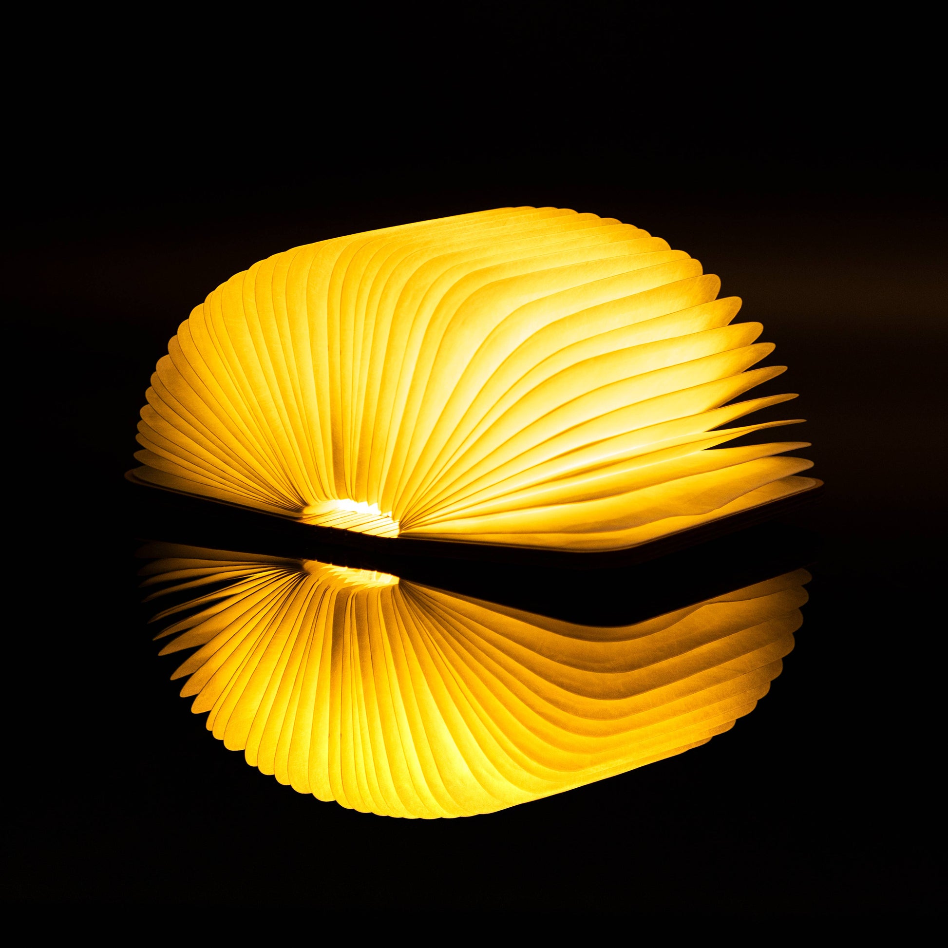 Natural Wood Smart Book Light -  from The Bookhouse Broughty Ferry- Just £34.99! Shop now